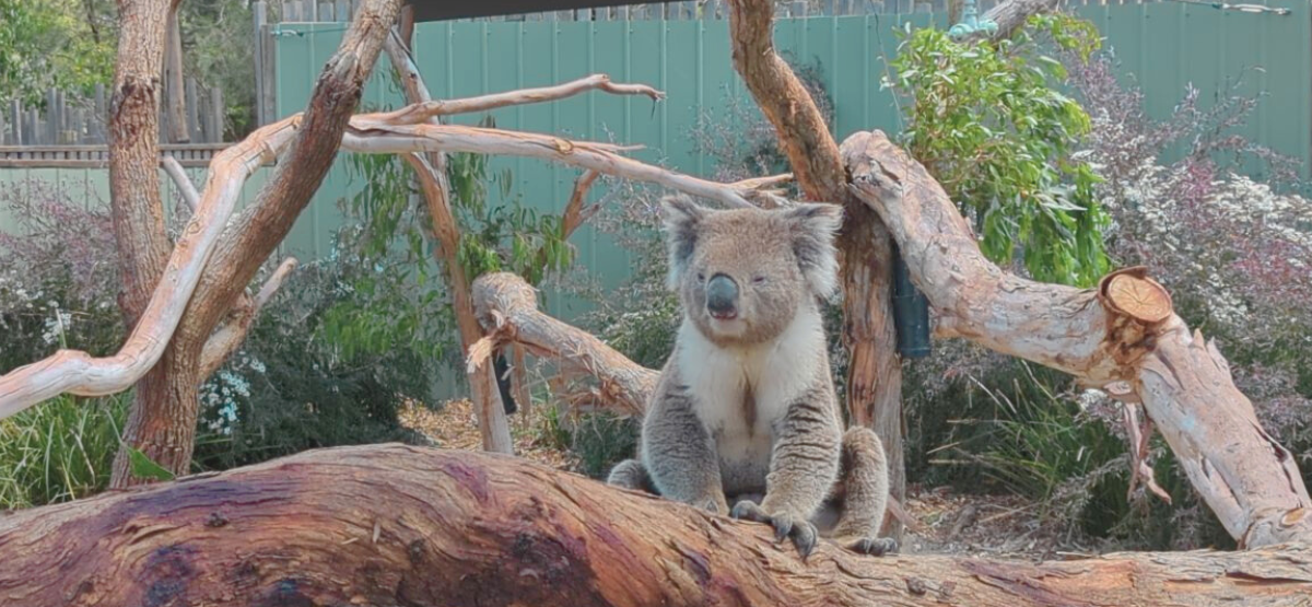 Moonlit Sanctuary & Wildlife Park